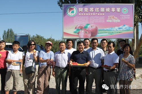 華商(shāng)智業：爲新疆圭柏種植合作社打造全國營銷平台（上篇）