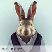 華商(shāng)智業：兔 子 的 窩 ！